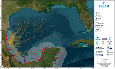 Ocean monitoring, observation network and modelling of the Gulf of Mexico by CIGOM